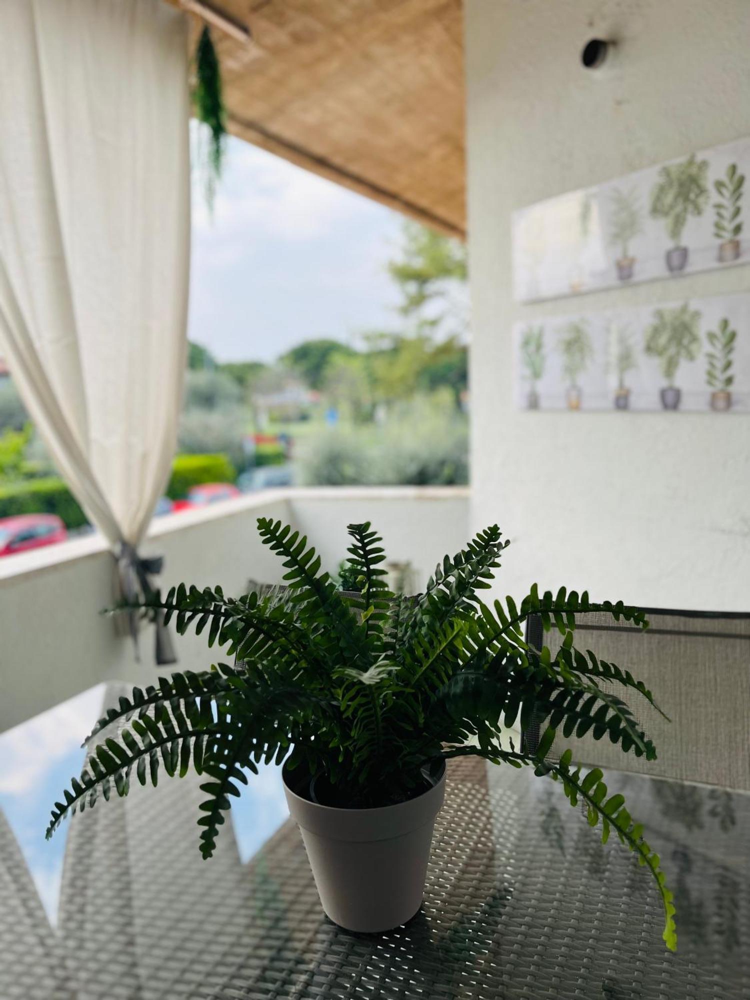 Your Familyapartment In Sirmione Eksteriør bilde